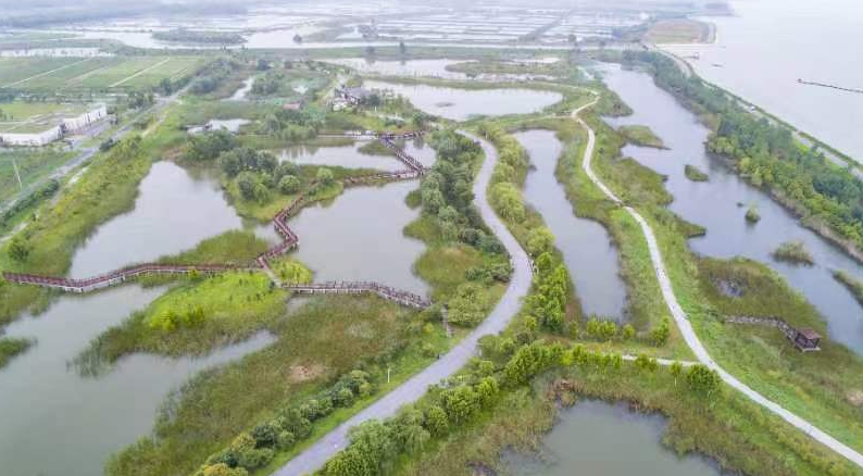 巢湖半岛国家湿地公园越来越美