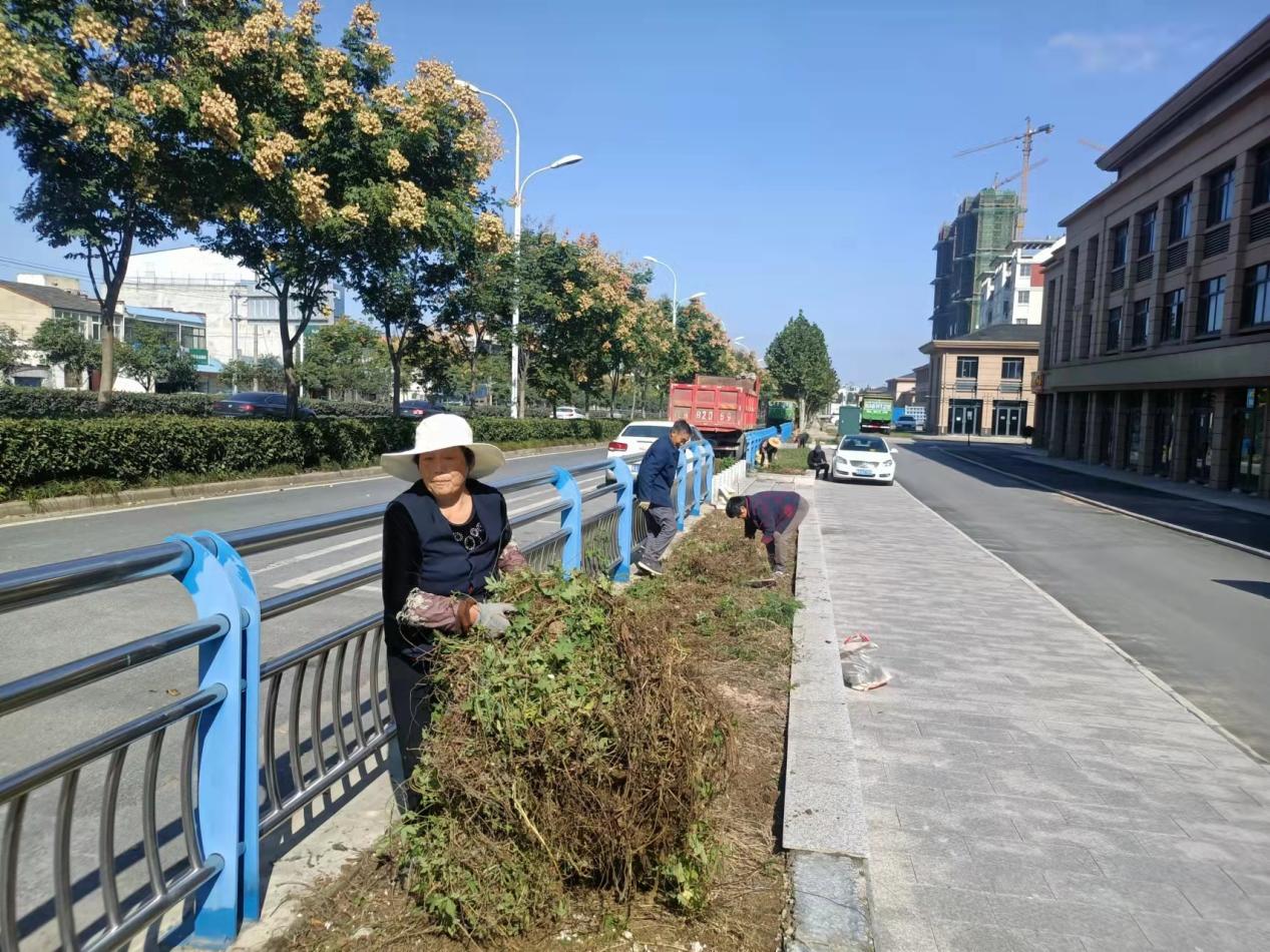 肥西县官亭镇自本周一开始,开展为期一周时间的垃圾,杂草集中清理整治