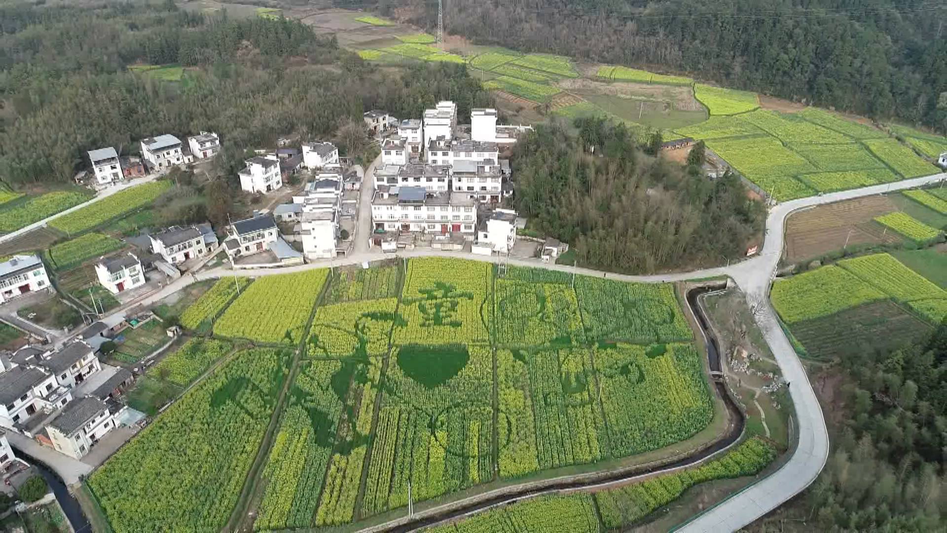 徽州区岩寺镇图片