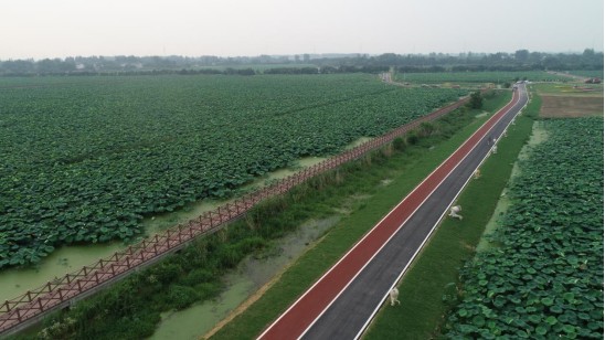 肥西县丰乐镇河湾社区境内管护道路总长约22.