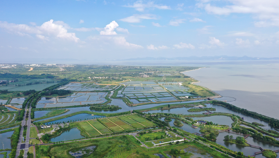 巢湖半島國家溼地公園1.