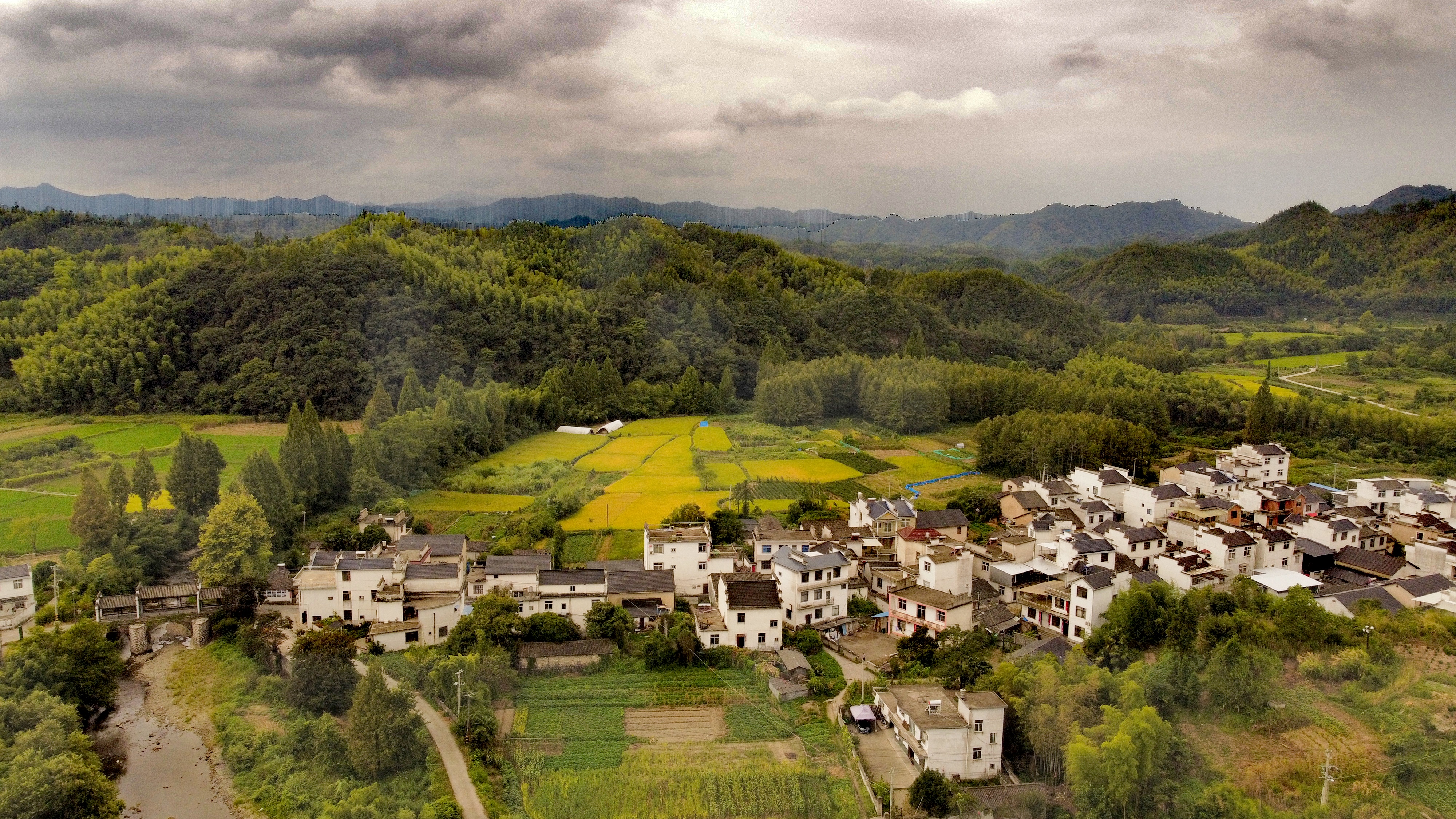 祁门县高端网站建设_(祁门县高端网站建设公司)